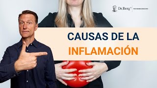 CAUSAS DE LA INFLAMACIÓN Y COMO TRATARLA NATURALMENTE [upl. by Buseck264]