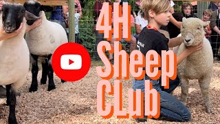 4H Sheep club  Cobble Hill Vancouver Island [upl. by Ecirtnas285]