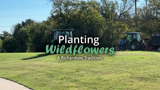 Planting Wildflowers in Richardson [upl. by Merill865]