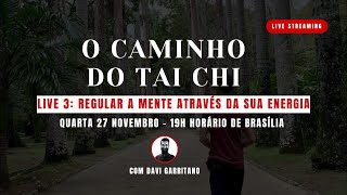 O Caminho do Tai Chi Regular a Mente através da sua Energia [upl. by Kilah]