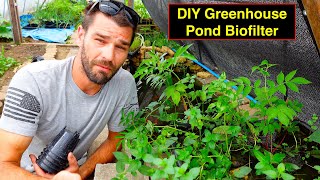 DIY Greenhouse Pond Biofilter Observations amp Insight  Habitat Creation [upl. by Akzseinga]