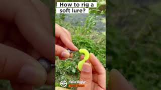 How to rig a padle tail soft lure jig head lure fishingknots fishing fishingmethods [upl. by Nagear586]