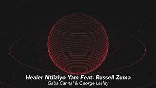 Gaba Cannal amp George Lesley  Healer Ntliziyo Yam Feat Russell Zuma Official Visualizer [upl. by Scott]