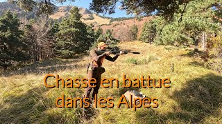 Chasse en battue dans les Alpes 💥 des postes magnifiques [upl. by Naginarb344]