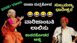 Yakshaganaಕಾಸರಗೋಡರ ಅಜ್ಜಿವಾರಿಜಾಂಬಕಿಧಾರೇಶ್ವರ  Kasaragodu Ultimate ComedeyDhareshwara [upl. by Knowles647]