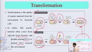 Microbial Genetics Transformation Transduction Conjugation Plasmids and Transposons [upl. by Einhpets718]