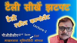 Tally Erp 9 Practical class for PGDCA IInd Sem in Hindi  tally full course tutorial [upl. by Mosira]