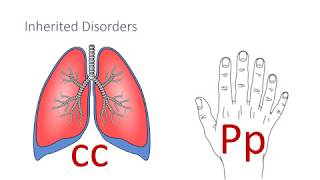 Inherited Disorders [upl. by Nerraw]