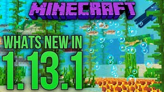 Whats New In Minecraft 1131 Java Edition [upl. by Tsenre]