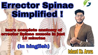 Back musculature  Erector Spinae Simplified  Anatomy  Ishant Kumar Arora  PhyX Pain Solutions [upl. by Cita643]