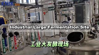 Industrial Large Fermentation Site fermenter factoryproduction factorylab [upl. by Urson]