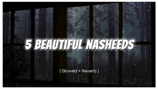 5 Beautiful Nasheeds 🤍✨ Slowed  Reverb  Nasheed Playlist No Music [upl. by Skye]