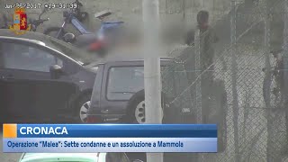 Operazione “Malea” Sette condanne e un assoluzione a Mammola [upl. by Torrence679]