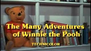 The Many Adventures of Winnie the Pooh  07  Blustery Day [upl. by Akinor]