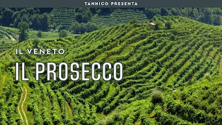 Il Prosecco tra Cartizze e Valdobbiadene  Tannico Flying School [upl. by Andonis]