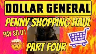 DOLLAR GENERAL PENNY SHOPPING HAUL PART FOUR🔥HIDDENISH PENNY ITEMS🤯PAY 001 PER ITEM🚨 [upl. by Perloff]