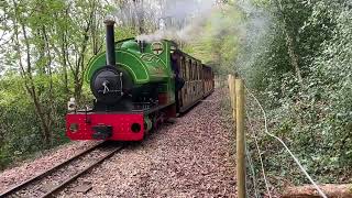 Mr Hallworth running at the Perrygrove Railway Adventure with 2 tone whistle 140424 [upl. by Arocal]