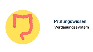 Mündliche Prüfungsfragen  Verdauungssystem [upl. by Ahgem]