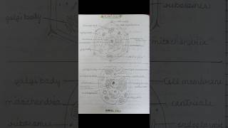 Plant amp Animal cells Comparison and cell parts with diagramDifference bw Plant and animal cells [upl. by Ostraw]