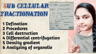 Sub cellular fractionation [upl. by Zobias992]