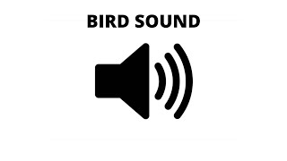 Sweet Bird Sound  Morning Sound Effect Garden Bird [upl. by Ennaeus890]