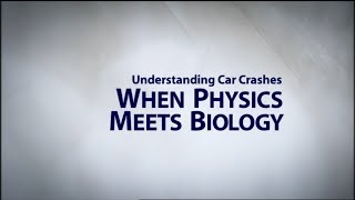 Understanding Car Crashes When Physics Meets Biology [upl. by Willmert90]