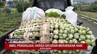 AWAL PENGHUJAN HARGA SAYURAN MERANGKAK NAIK  ATV MALANG RAYA [upl. by Kiele]