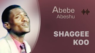 Abebe Abeshu Shaggee koo  Oromo Music [upl. by Cromwell]