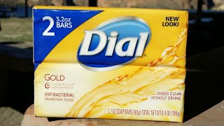 Dial Gold antibacterial soap Review [upl. by Bogosian212]