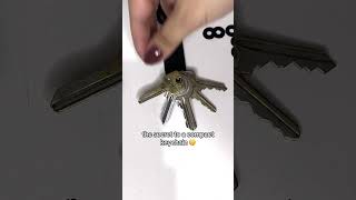 The Secret to Locating Your Keys Fast🔑 keysmart keyorganizer amazonfinds shorts [upl. by Etezzil]