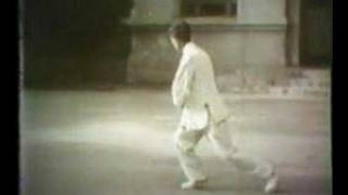 Li Bingci  Wu Style Taiji 2of2 [upl. by Halliday232]