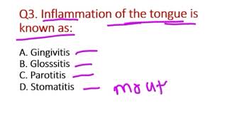 digestive system mcq digestion mcq in Hindi pachan tantra CHOexam ESIC DSSSB kgmu nursing [upl. by Marquis839]