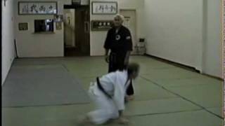 Professors Sig Kufferath doing Nage techniques [upl. by Niknar58]