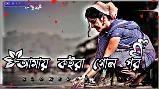 Amay Koira Geli Por ｜ আমায় কইরা গোল পর SlowedReverb Bangla Lofi Song [upl. by Ainoek674]