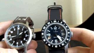 Steinhart Proteus  Limited Edition Watch Overview [upl. by Lleruj396]