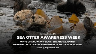 Ways of Knowing Sea Otters and Abalone Unveiling Ecological Narratives in Southeast Alaska [upl. by Ungley]