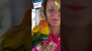 🦜 How Do Parrots Talk Like Humans  Amazing Science Behind Talking Parrots [upl. by Katlaps]