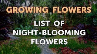 List of NightBlooming Flowers [upl. by Egamlat]