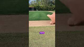 Watch the transformation of a baseball field with Endurant TurfPaintnet [upl. by Ilwain]