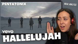 PENTATONIX Hallelujah  Vocal Coach Reacts amp Analysis  Jennifer Glatzhofer [upl. by Severen]