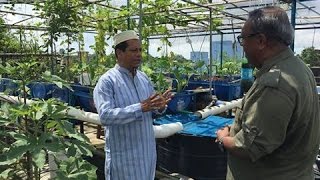 Rooftop farming EPS 16 ছাদ কৃষি [upl. by Dionisio]