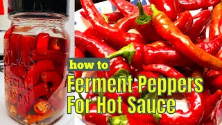 How to Ferment Peppers for Hot Sauce part 1 [upl. by Aidnis]