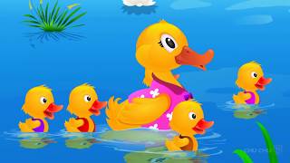 Cinq Canetons Five Little Ducks  ChuChu TV Comptines et Chansons pour Enfants [upl. by Phares]