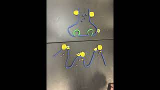 AP Bio ACh Signal Pathway Explanation [upl. by Anissej]