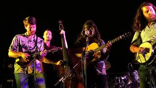 Billy Strings  Streamlined Cannonball BMI Rooftop Party [upl. by Vittorio]