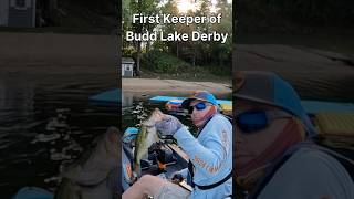 1st Keeper Largemouth of Budd Lake Derby kayakfishing bassfishing shorts largemouthbass angler [upl. by Assiar]