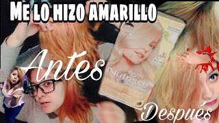 Garnier Nutrísse RUBIO EXTRA CLARO CENIZO  Reseñas con Anna [upl. by Lengel]