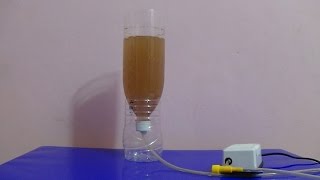 How to Hatch Brine Shrimp Eggs [upl. by Haroun272]