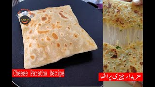 Cheese Paratha Recipe  Cheese Stuffed Paratha  My Paradise Kitchen [upl. by Oicneserc477]