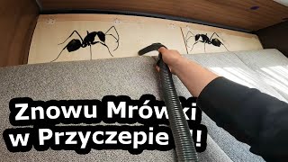 Mrówki w Przyczepie Kempingowej   Jedziemy na górę Monte Cassino i odwiedzamy cmentarz 673 [upl. by Denney]